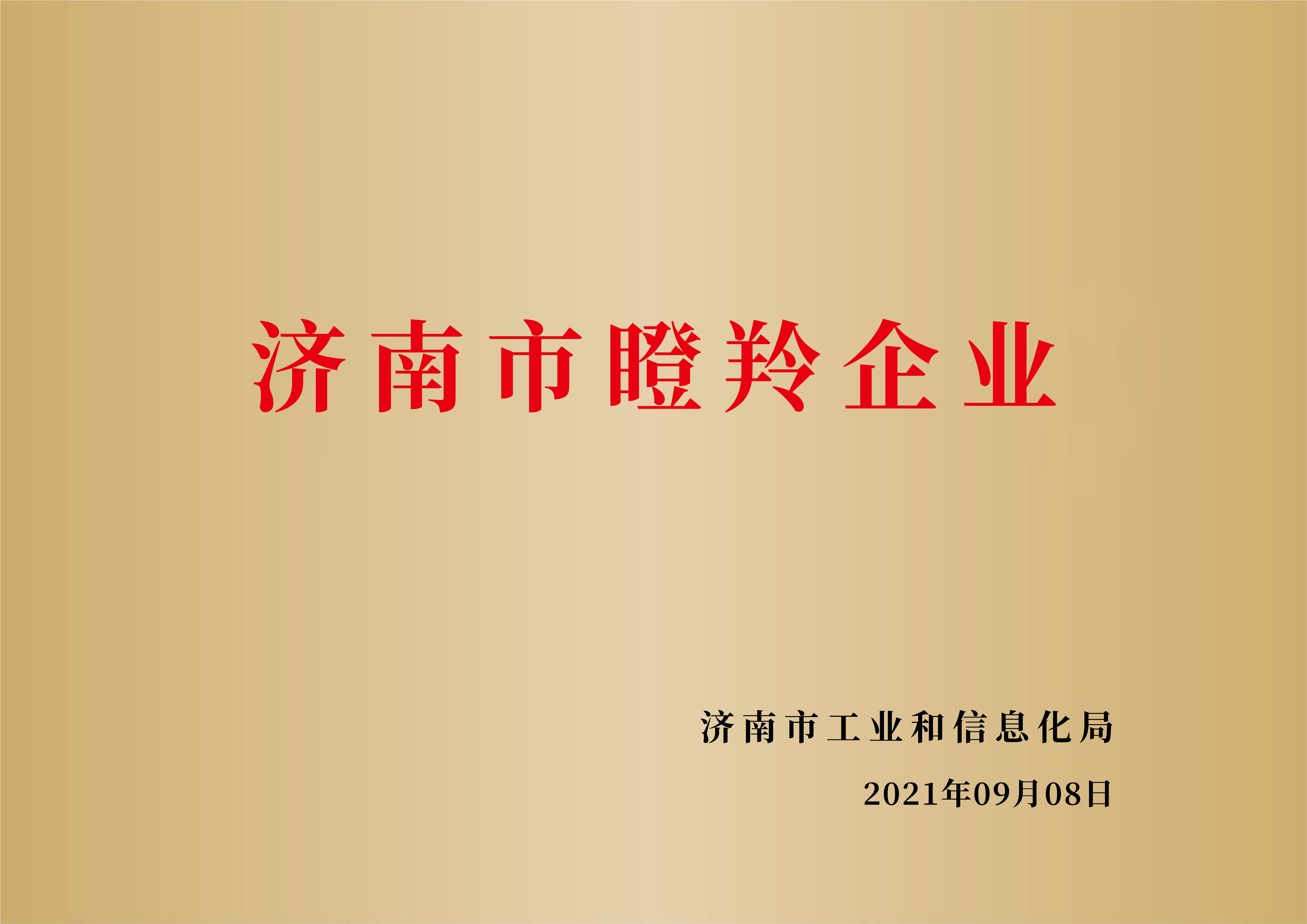 博赛_济南市瞪羚企业